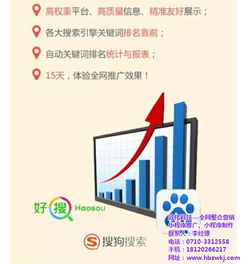 十堰易站通 政伟科技网络推广与SEO优化工具的技术推广策略