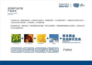 淇花食用油新产品开发及技术推广策略提案