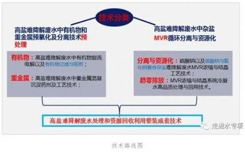 高盐难降解废水趋零排放技术实现重大突破与规模化应用