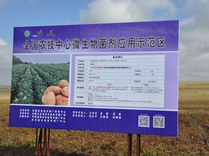 技术推广服务中心 加速创新与应用的桥梁